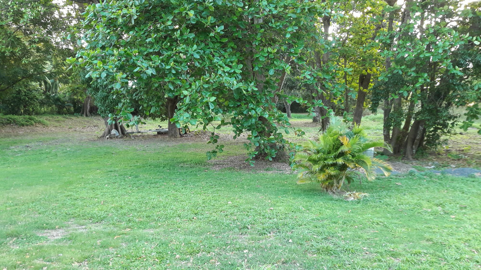 Bungalow Papaye Pointe-Noire Exterior foto
